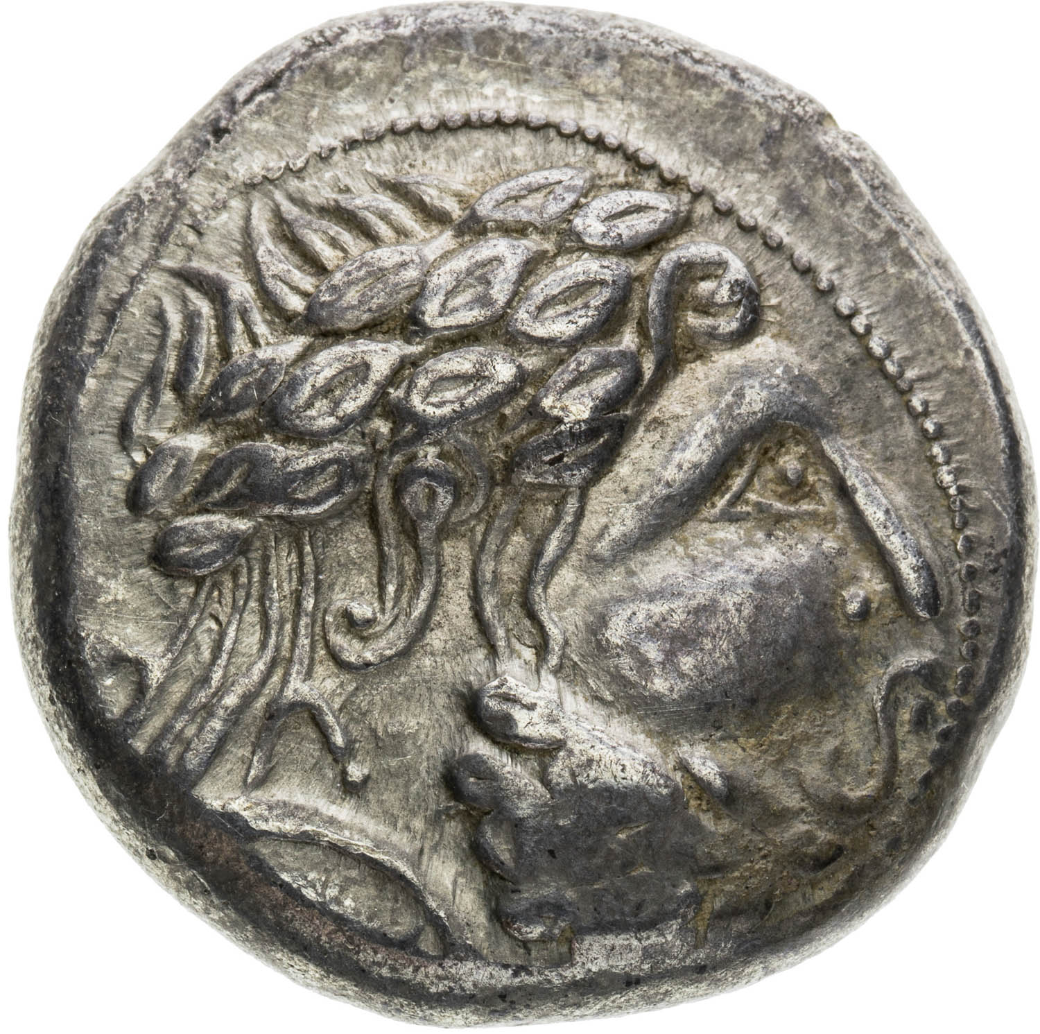 Tetradrachma - averz