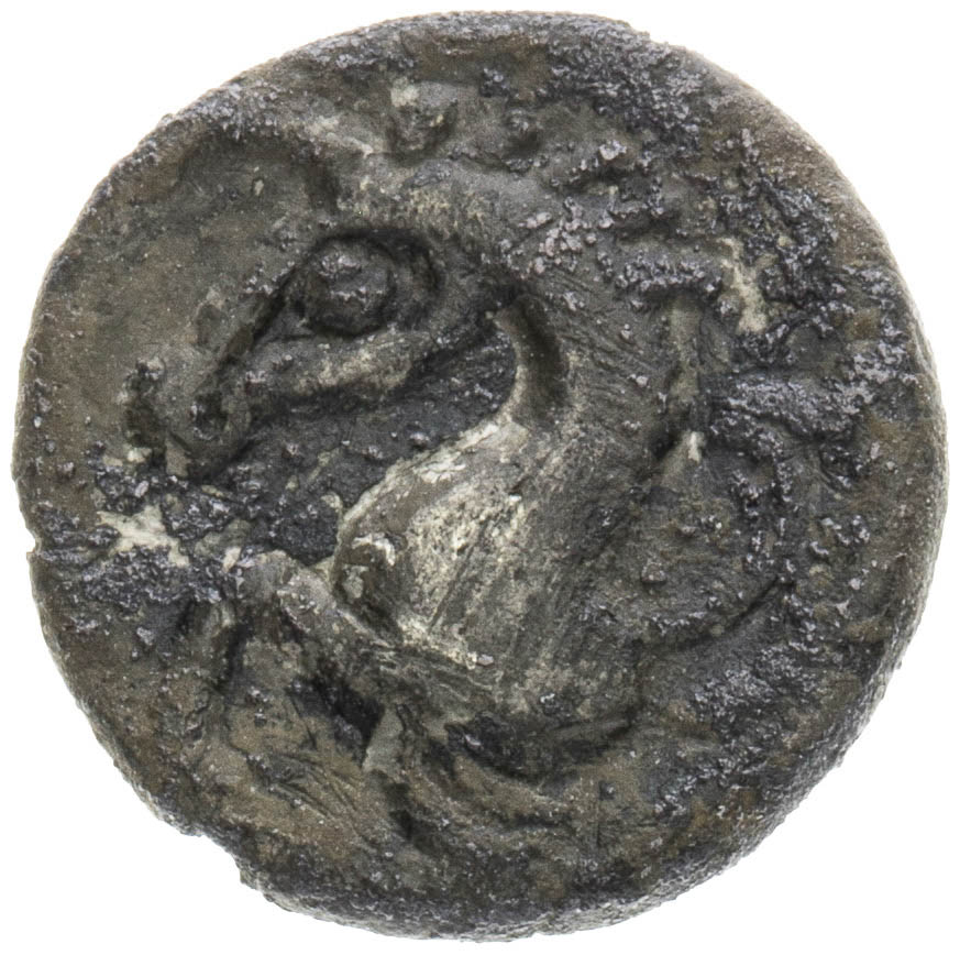 Coin-front