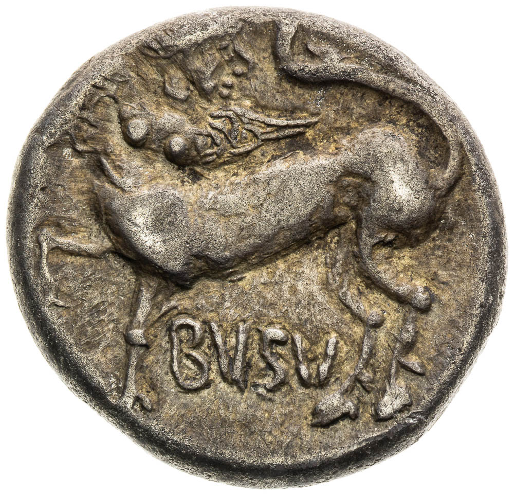 Coin-front