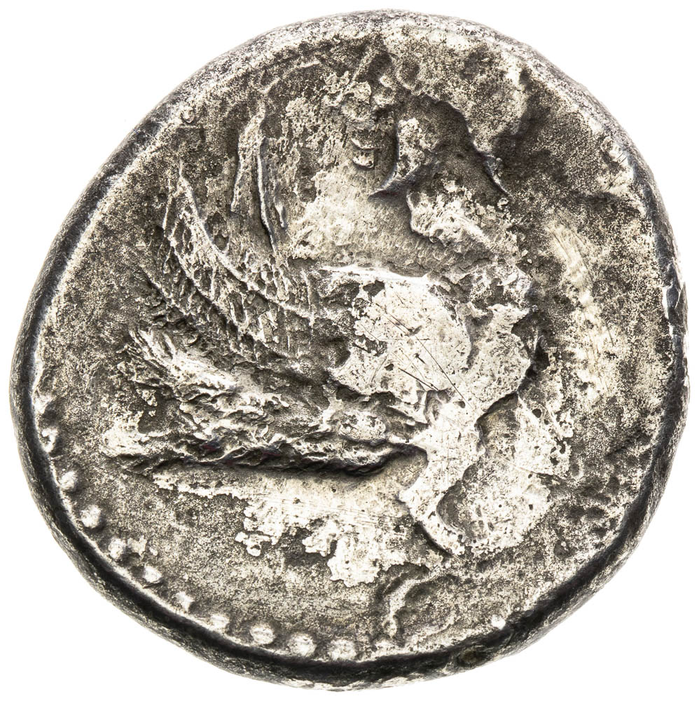 Coin-front