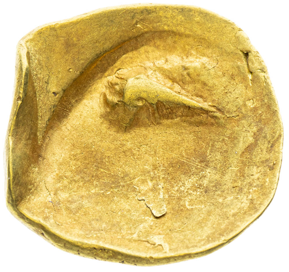 Coin-front
