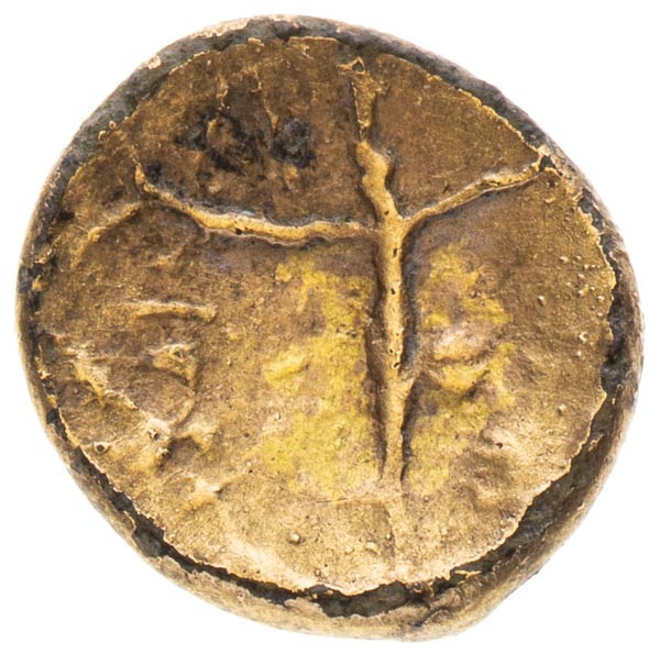 Coin-front