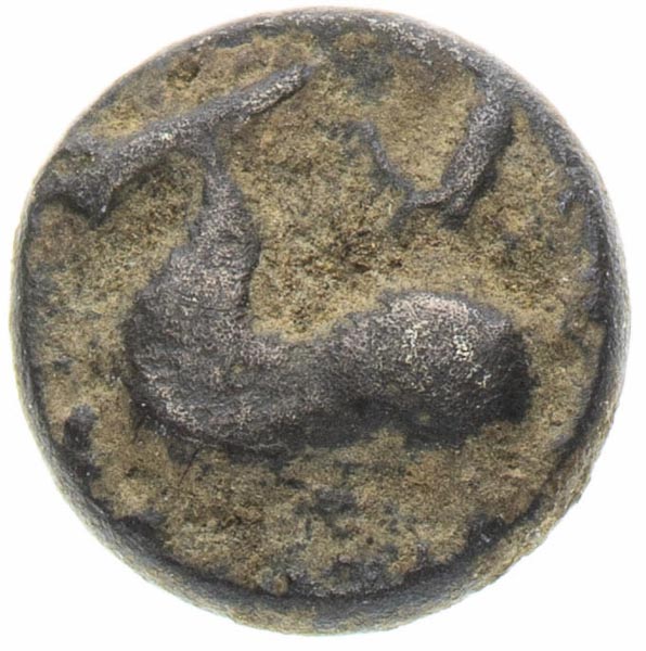 Coin-front
