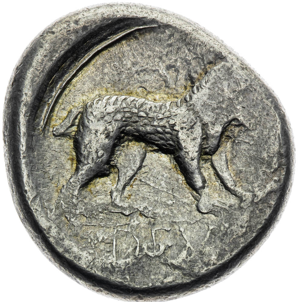 Coin-front