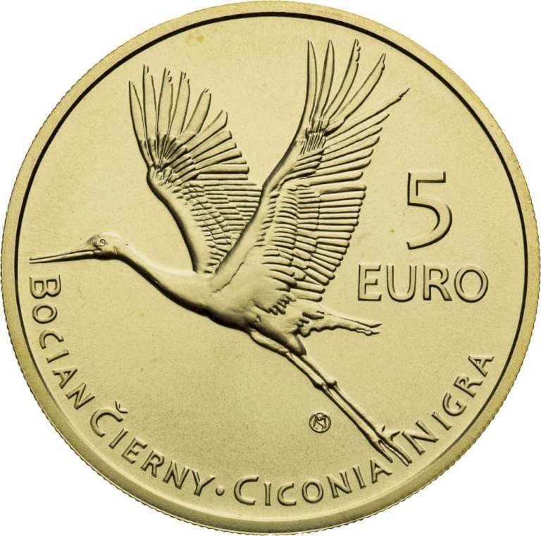 5 Eur 2023 - Black stork
